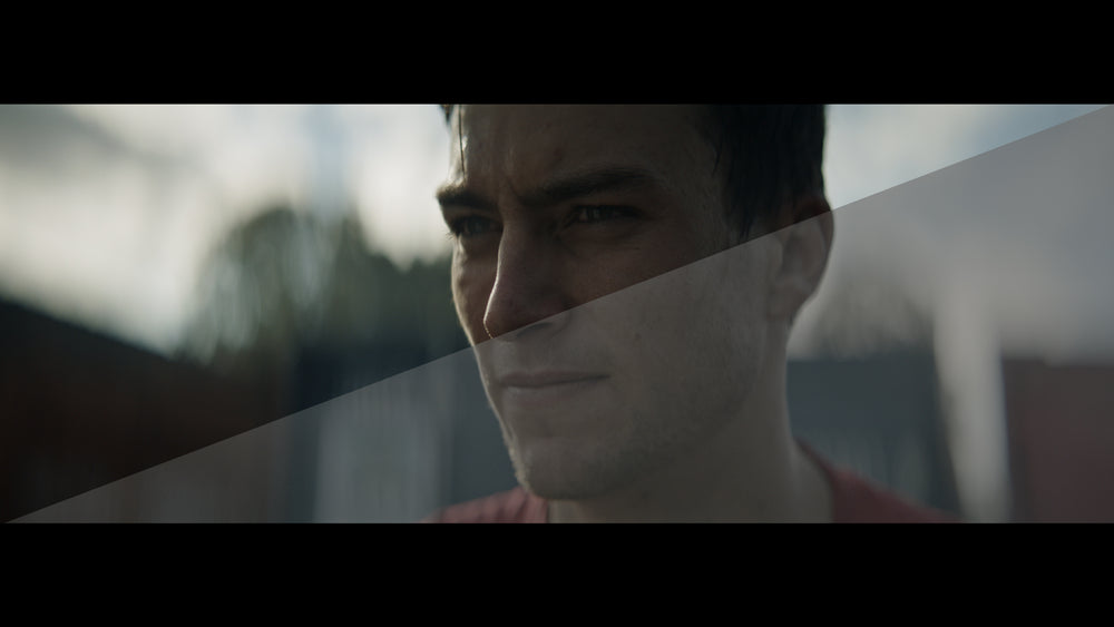 The Wandering DP LUT Collection: Volume #1 - The Foundation Pack