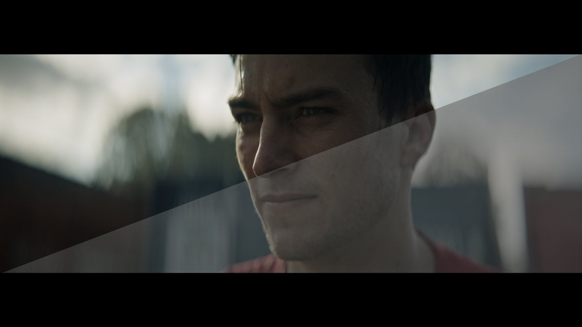 The Wandering DP LUT Collection: Volume #1 - The Foundation Pack